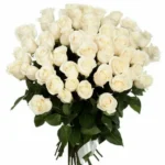 Paix à partir de 10 fleurs